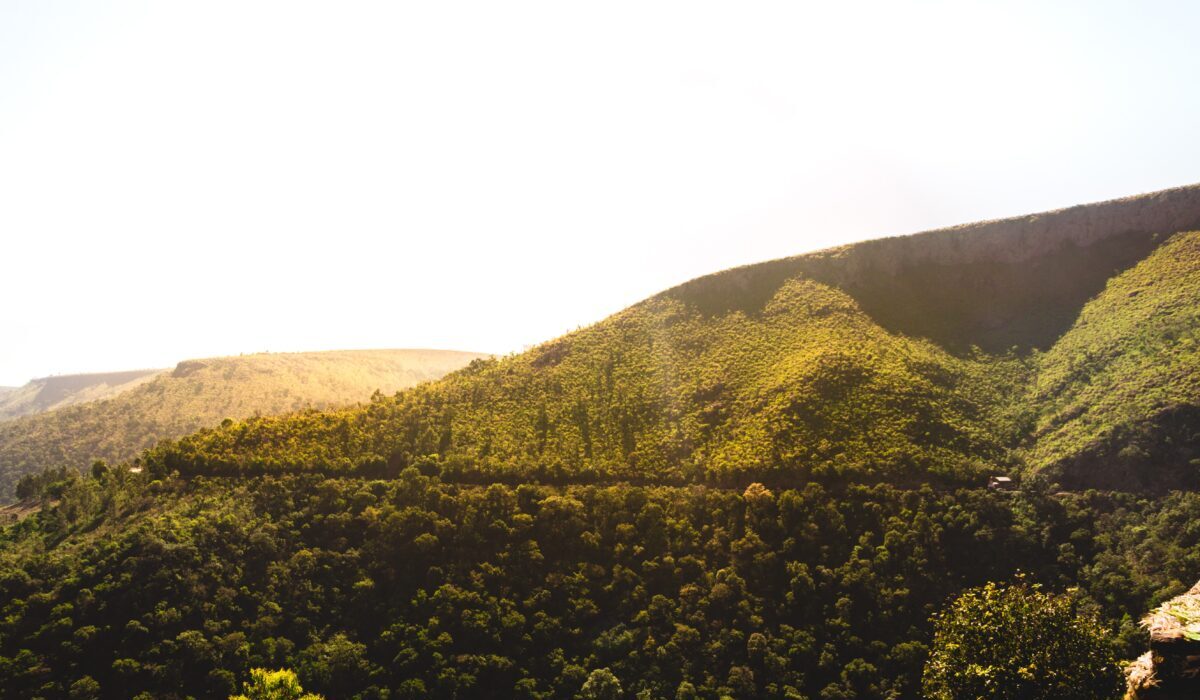 Araku Valley