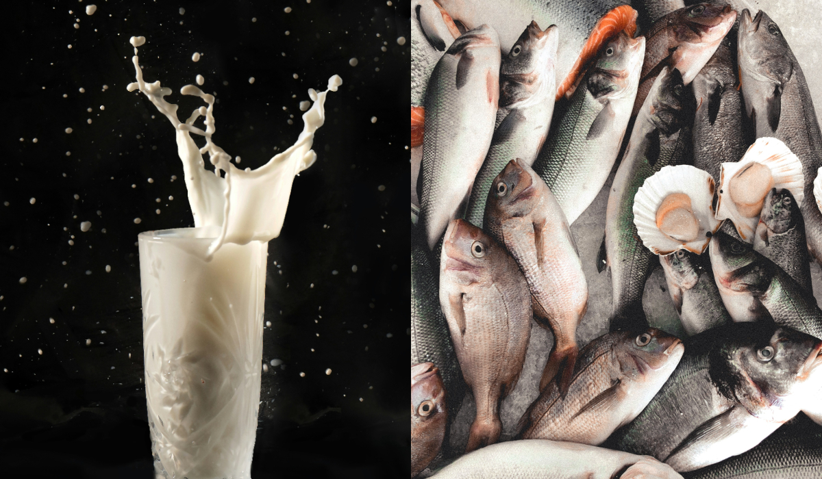 World Food Day 2025
