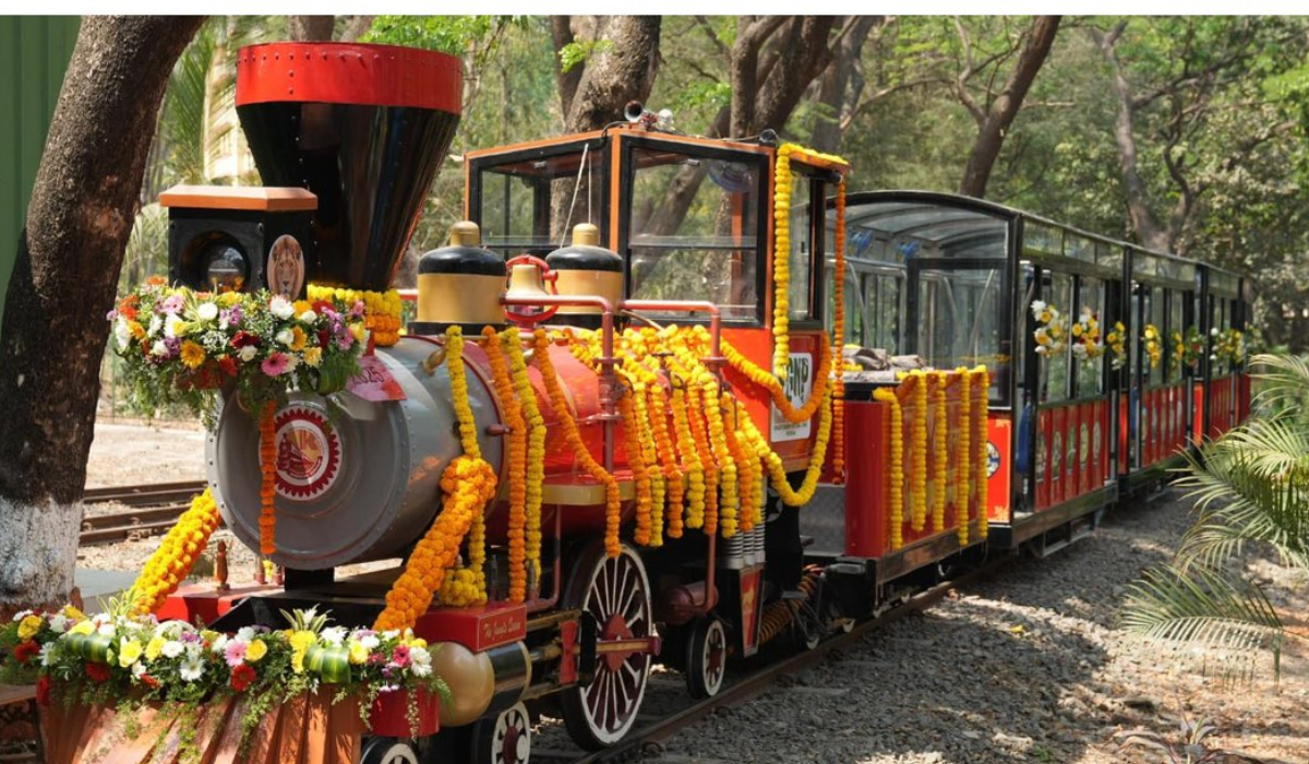 Van Rani toy train