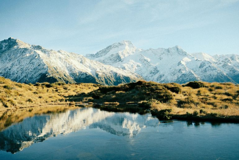 New Zealand Working Holiday Visa
