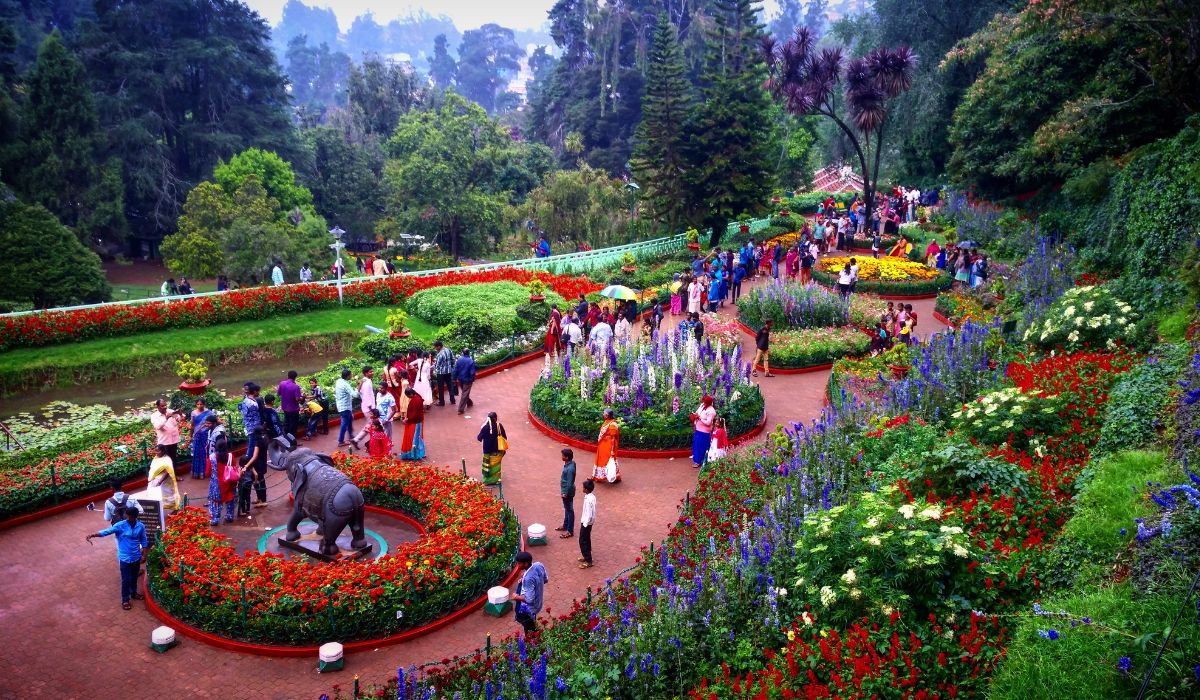 Ooty Flower Show