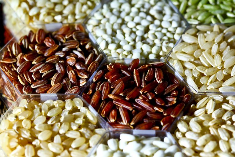 world food regional summit