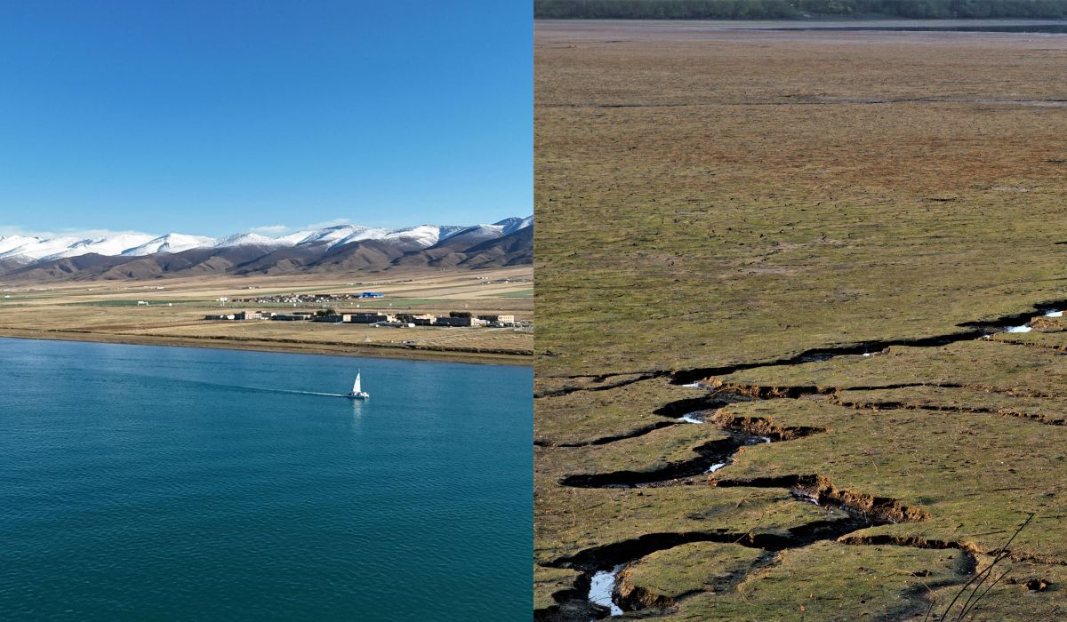earthquake qinghai china
