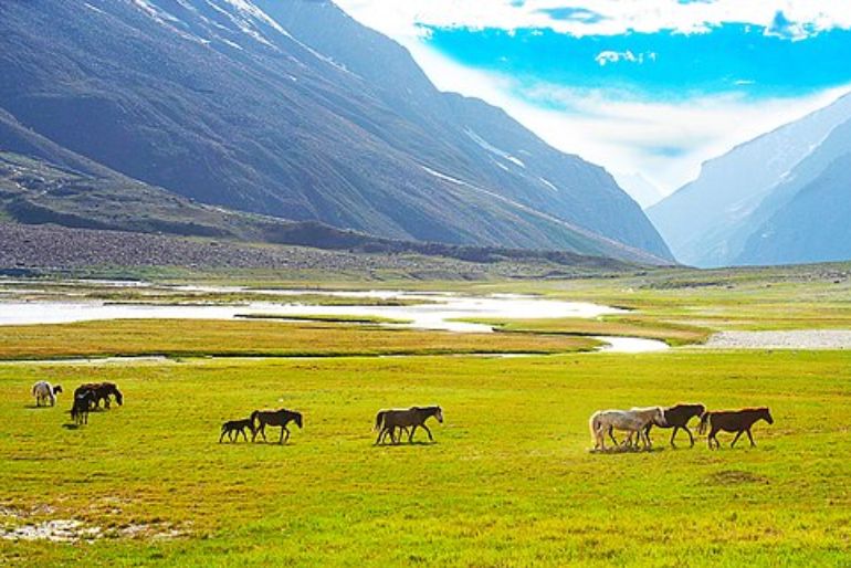 quiet-cation destinations Himalayas (1)