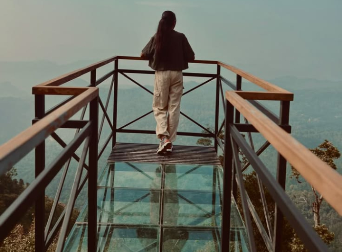 Glass Bridges in India