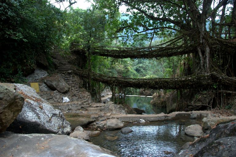 northeast india monsoon
