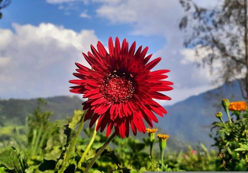 63331bea50f54_Best-Offbeat-Villages-In-Sikkim