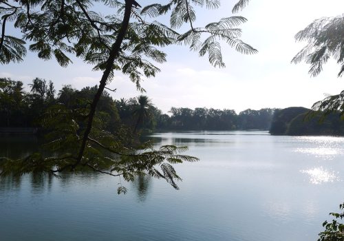 634d7f6252c69_1-day-walking-tour-of-bangalore-best-places-to-cover