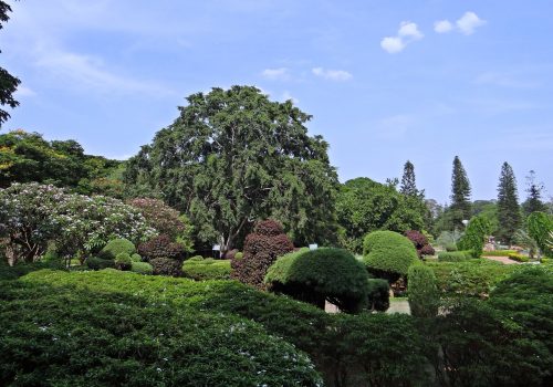 6360f104a1bc1_the-ultimate-itinerary-48-hours-in-bangalore