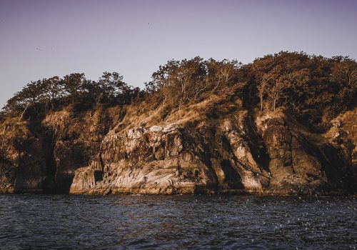 A Guide To Exploring Goa
