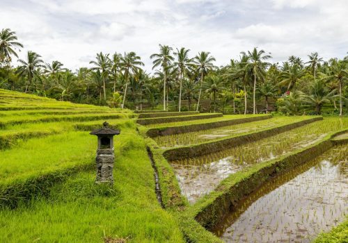 Bali Vs Thailand: Which Destination Is Better For Indian Travelers