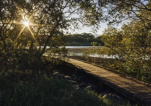 Navi Mumbai’s First Mangrove Parks