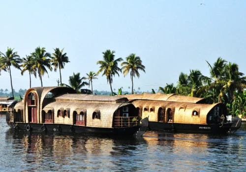 Best Time To Visit Kottayam