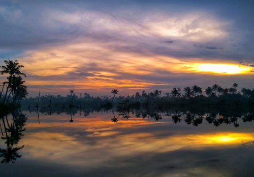 Complete Palakkad Travel Guide