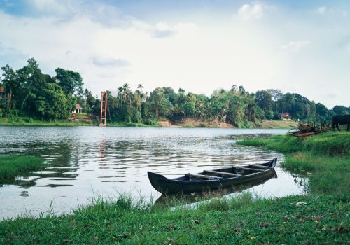 Best Time To Visit Wayanad