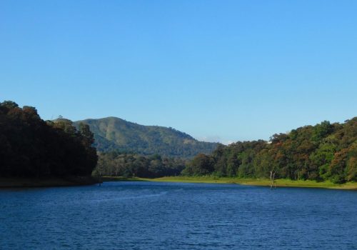 Best Time to Visit Thekkady