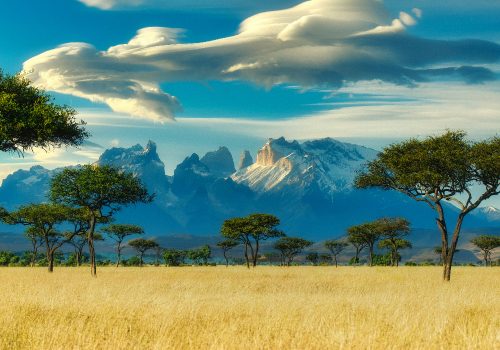 Best safari experiences in Kenya