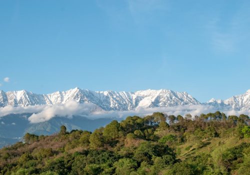 Budget Stays In Dharamshala