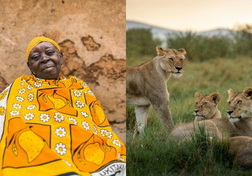 Busting Common Myths About Kenya_ Facts That May Surprise You
