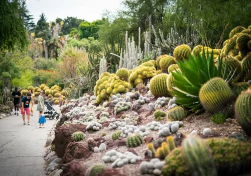 Cactus Park in Al Jaddaf Dubai