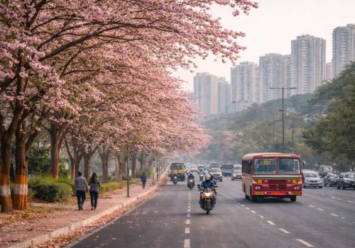 Cherry Blossom In Navi Mumbai