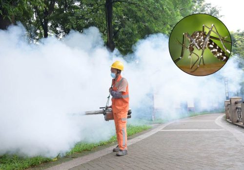 Chikungunya Outbreak 2025