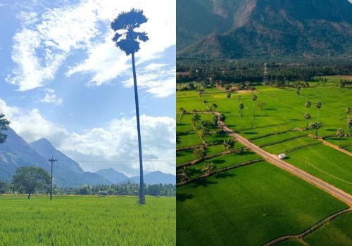 Complete Palakkad Travel Guide