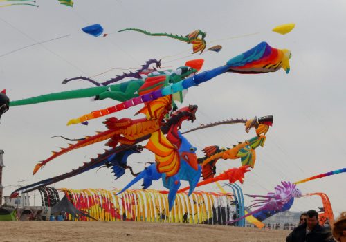 Desert Kite Festival In Jodhpur
