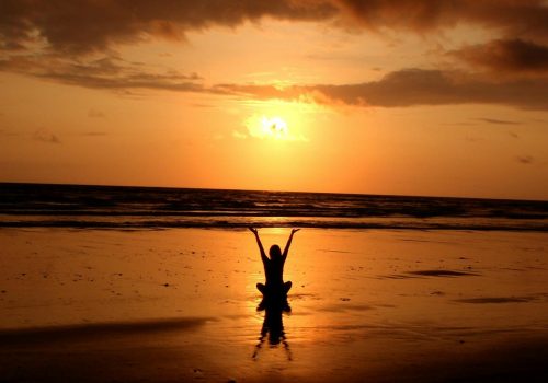 Yoga Courses In India