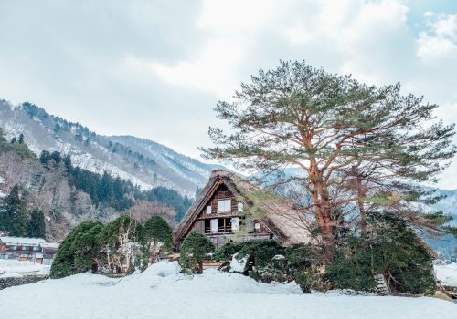 homestays in manali