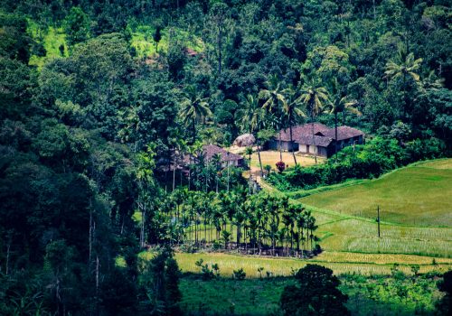 Fun Things To Do In Coorg