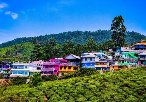 How To Reach Munnar