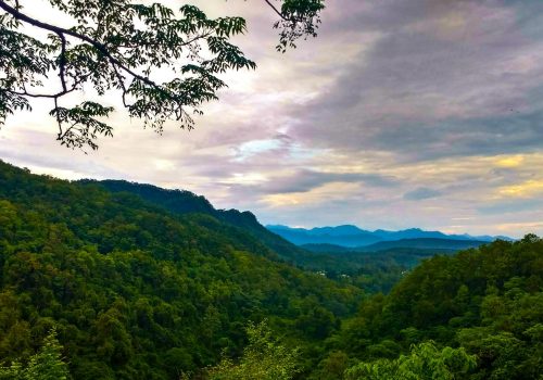 How to Reach Dehradun for Chardham Yatra