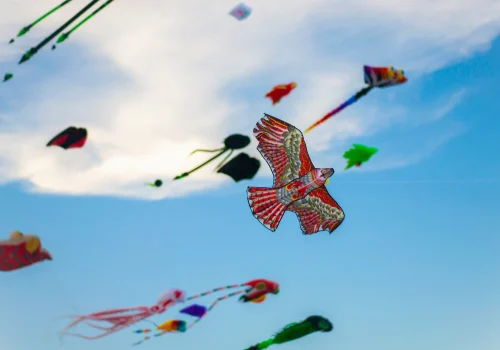 International Kite Festival 2026