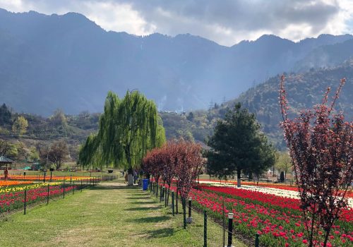 Jammu-Travel-Guide-5-1