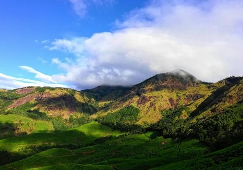 things to do in Kerala