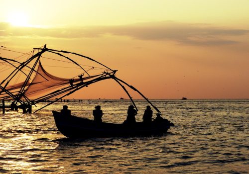 kochi travel tips