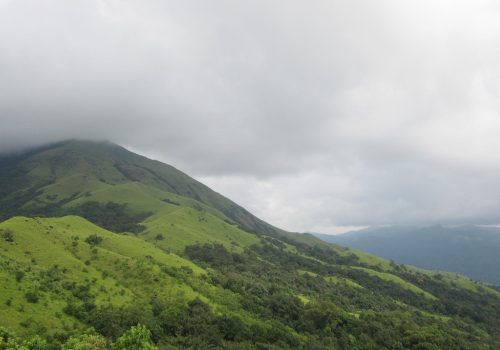 Karnataka Suspends Forest Treks