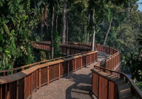 Malabar Hill Nature Trail