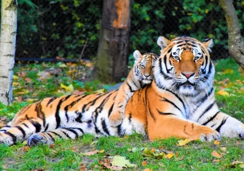 Madhav National Park