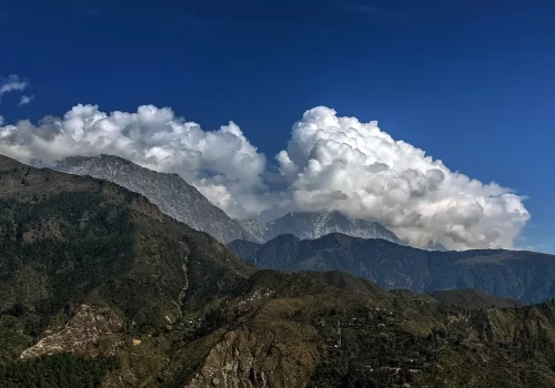 What To Eat In McLeodganj