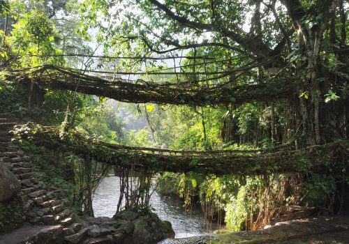 Meghalaya-banner