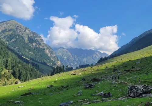 Best Monsoon Treks In India