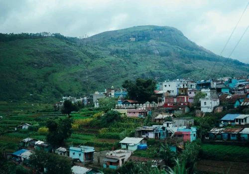 Munnar In Monsoon