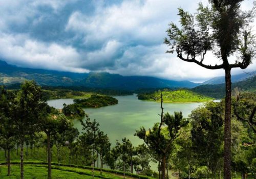 Things To Do In Kerala During Monsoon
