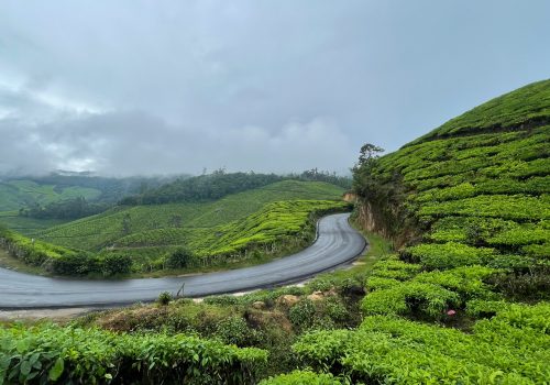 Munnar Plans Tourist Entry Fee To Tackle Waste & Traffic