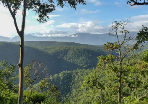National Reserve Forests In Karnataka