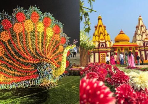 Noida Flower Festival 2026