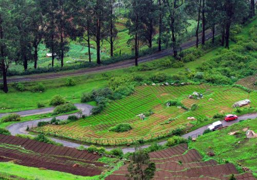 Ooty