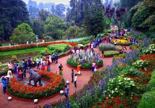 Ooty Flower Show